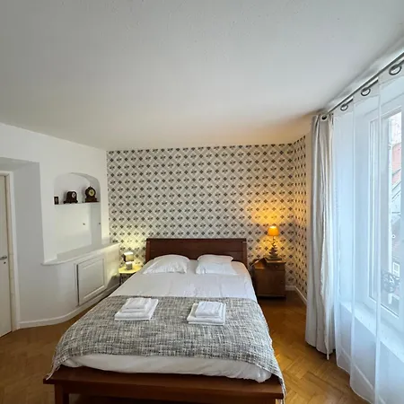 De Standing Hypercentre Apartment Colmar